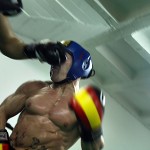 Pitbull boxeo