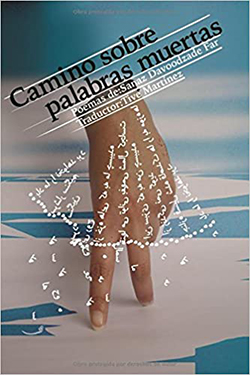 Davoodzade camino